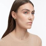 modelshoot