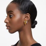 modelshoot