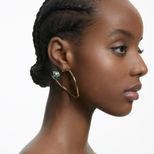 modelshoot