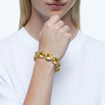 modelshoot